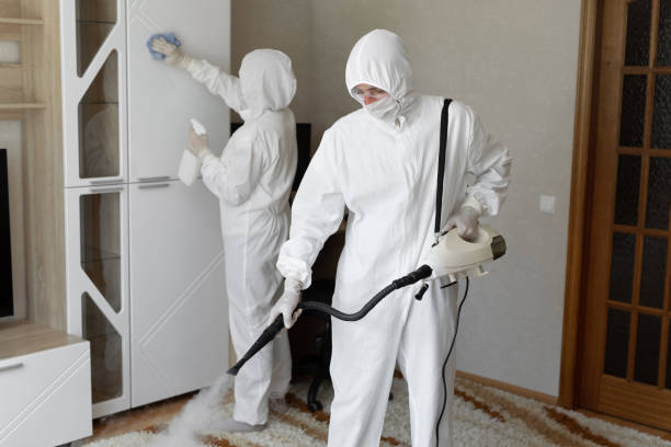 24/7 Emergency Odor Removal experts in Mount Airy, MD