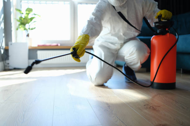Reliable Odor Removal contractor in Mount Airy, MD by Trauma Clean Pros